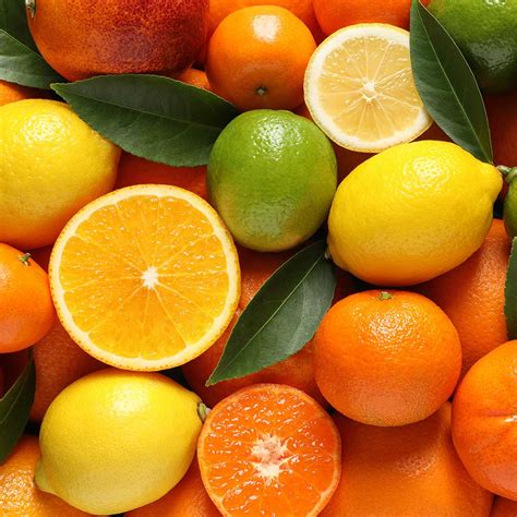 Orange & Lemons .